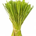 Lemongrass