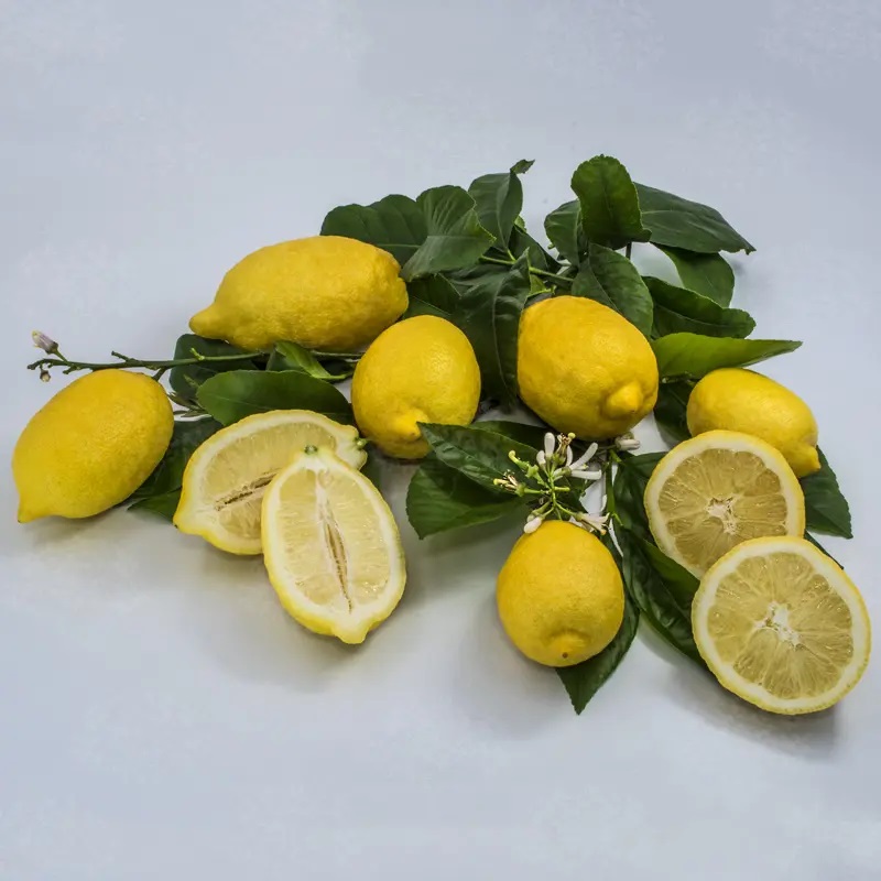 Amalfi Limonu